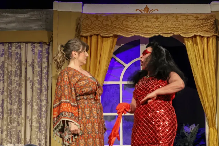 Ho affittato un maggiordomo, Compagnia Teatrale Jonica: foto di scena