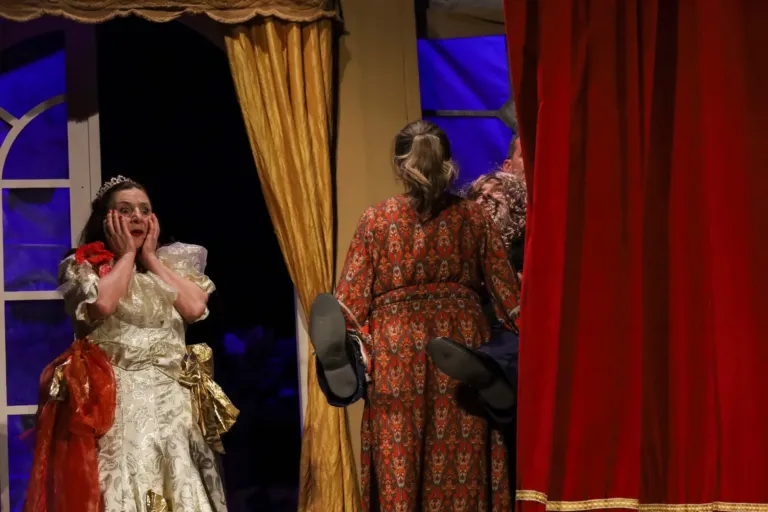 Ho affittato un maggiordomo, Compagnia Teatrale Jonica: foto di scena