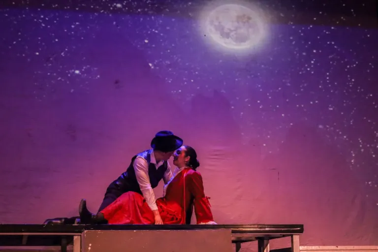 Rinaldo in campo, Compagnia Teatrale Jonica: foto di scena