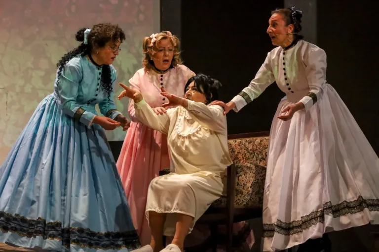 Rinaldo in campo, Compagnia Teatrale Jonica: foto di scena